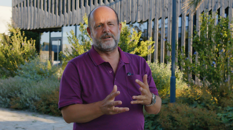 Prof. Dr. Stephan Seiter: