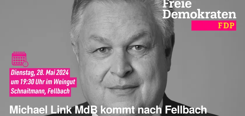 Michael Link MdB